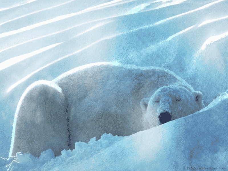 内膜癌做试管(试管 婴儿包成功)